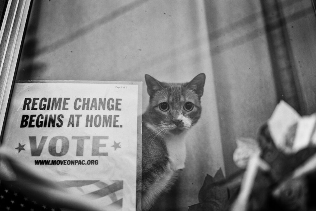 Black and white photo of a cat sitting in a window next to a small sign that says "Regime change begins at home" (Creative Commons Image, courtesy of RawPixel.com)
